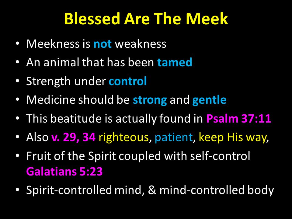 Meekness Isn't Weakness, It Is Strength Under Control. - The Remarkable Blog